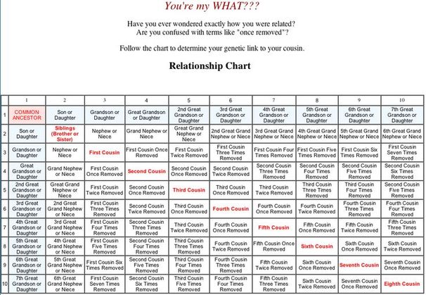 How Are We Related Chart